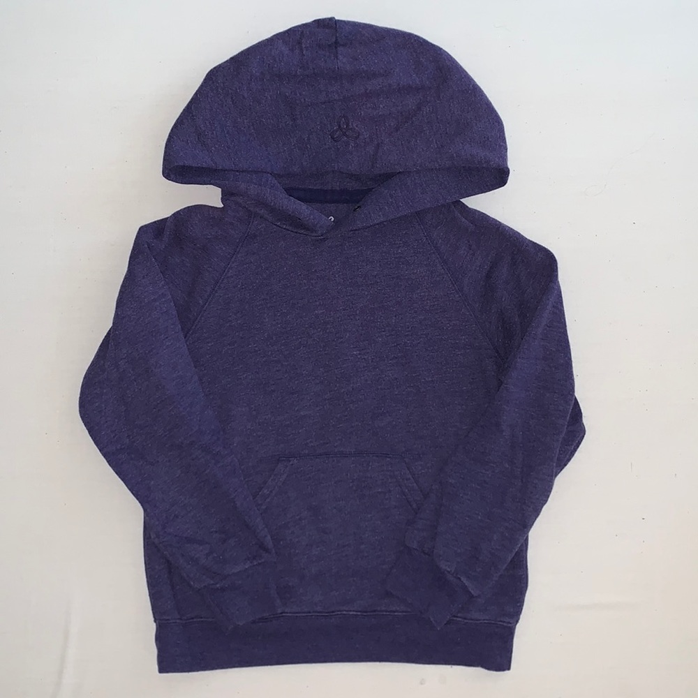 Aritzia TNA Hoodie